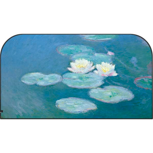 Waterlilies, Evening by Monet Nintendo Switch 2 (2025) with Joy-Con Skin